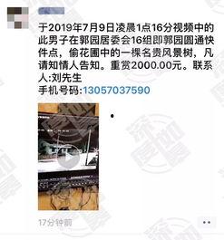 网友爆料免费网站视频,网友爆料揭示行业真相