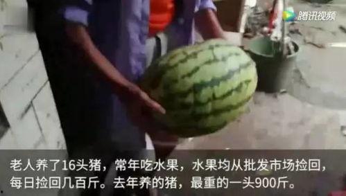吃瓜视频完整版大全免费观看 第2张 吃瓜视频完整版大全免费观看 第2张